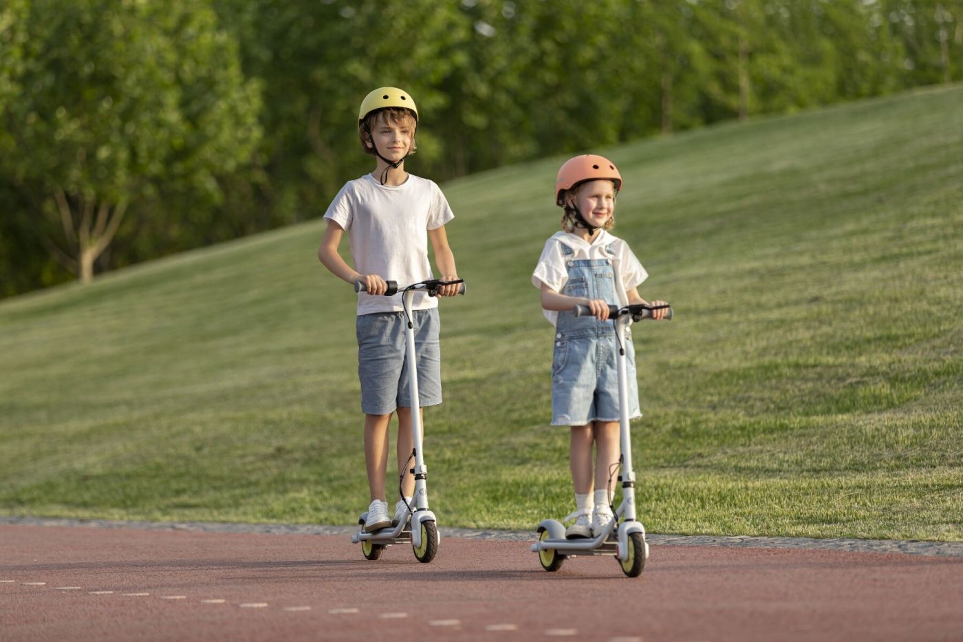 Ninebot eKickScooter ZING C8 Powered by Segway